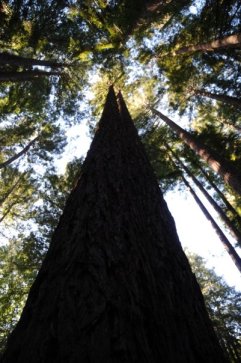 342_34772385285_5633_n