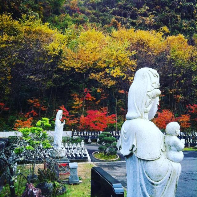 15099360_1776597305941125_4316524789125611520_n1