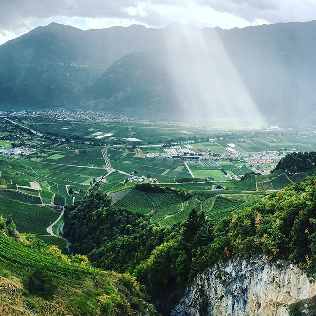 21826964_1554674664571517_4051691170009448448_n